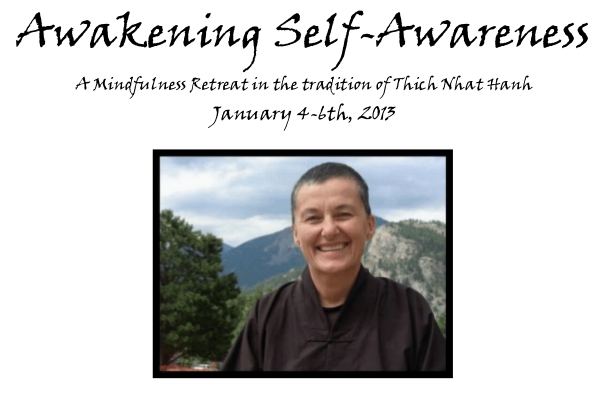 Awakening Self-Awareness, January 4-6th, 2013